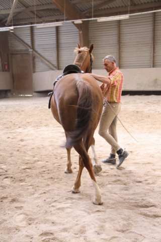 Juin 2010